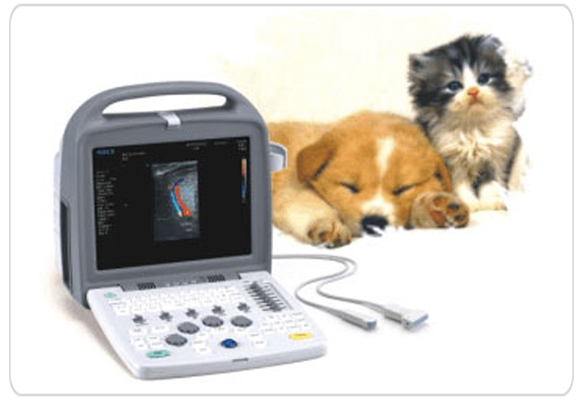 ecografos veterinarios